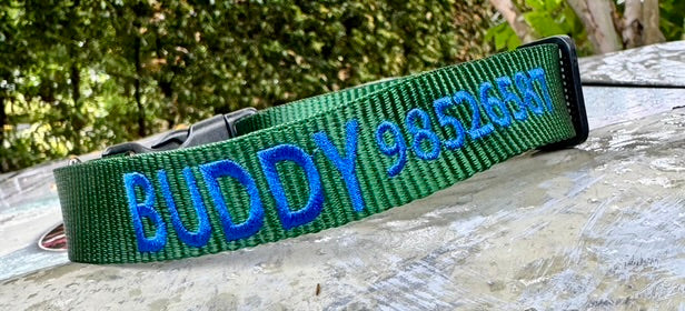 CUSTOM Embroidered Collars - Classic