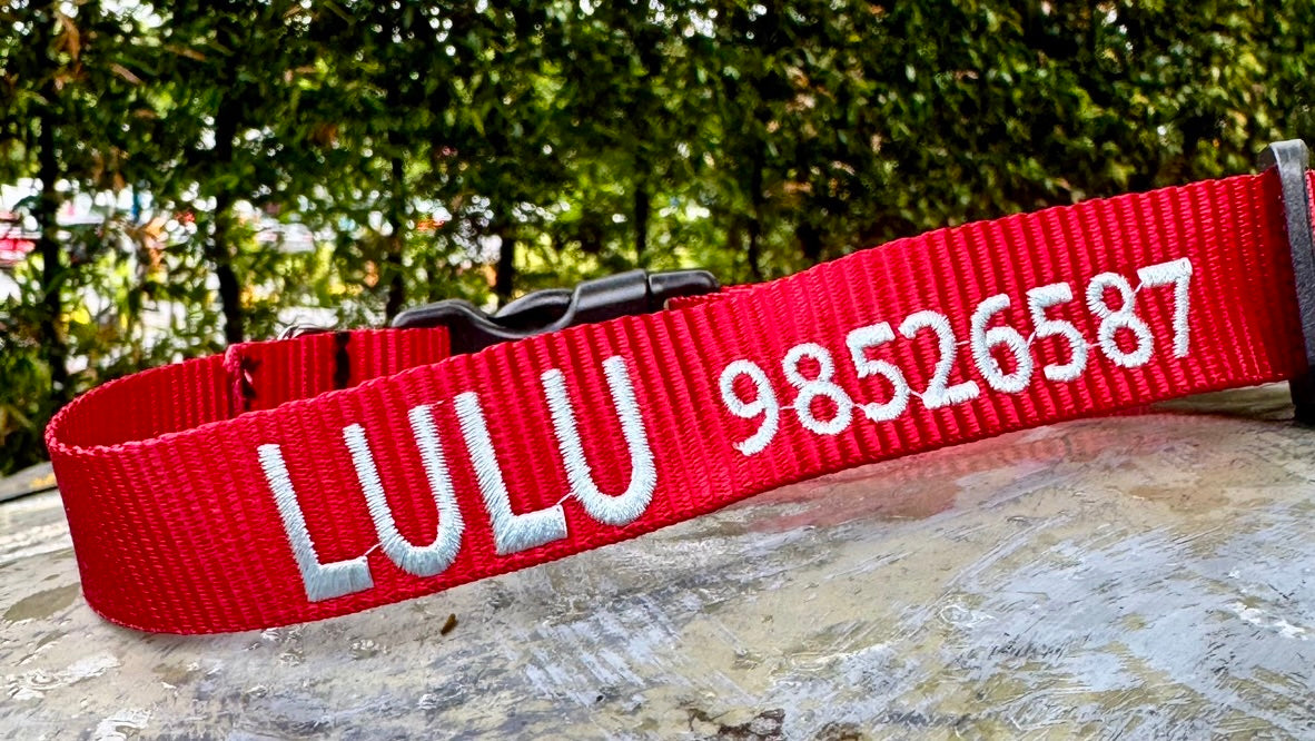 CUSTOM Embroidered Collars - Classic