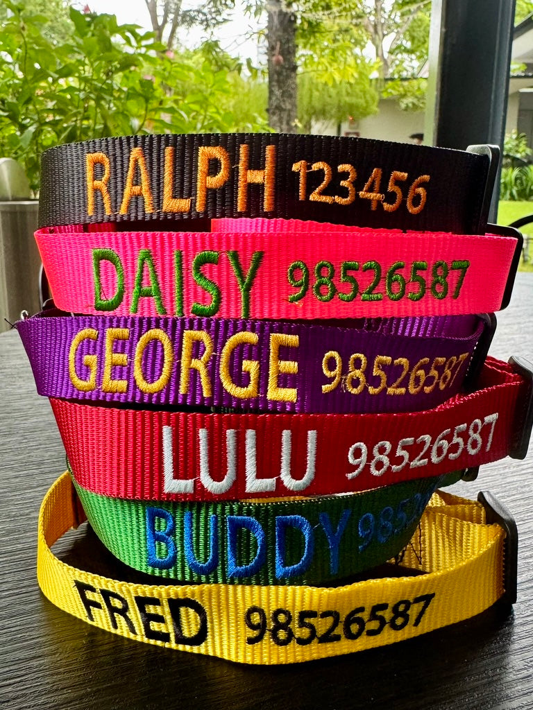 CUSTOM Embroidered Collars - Classic
