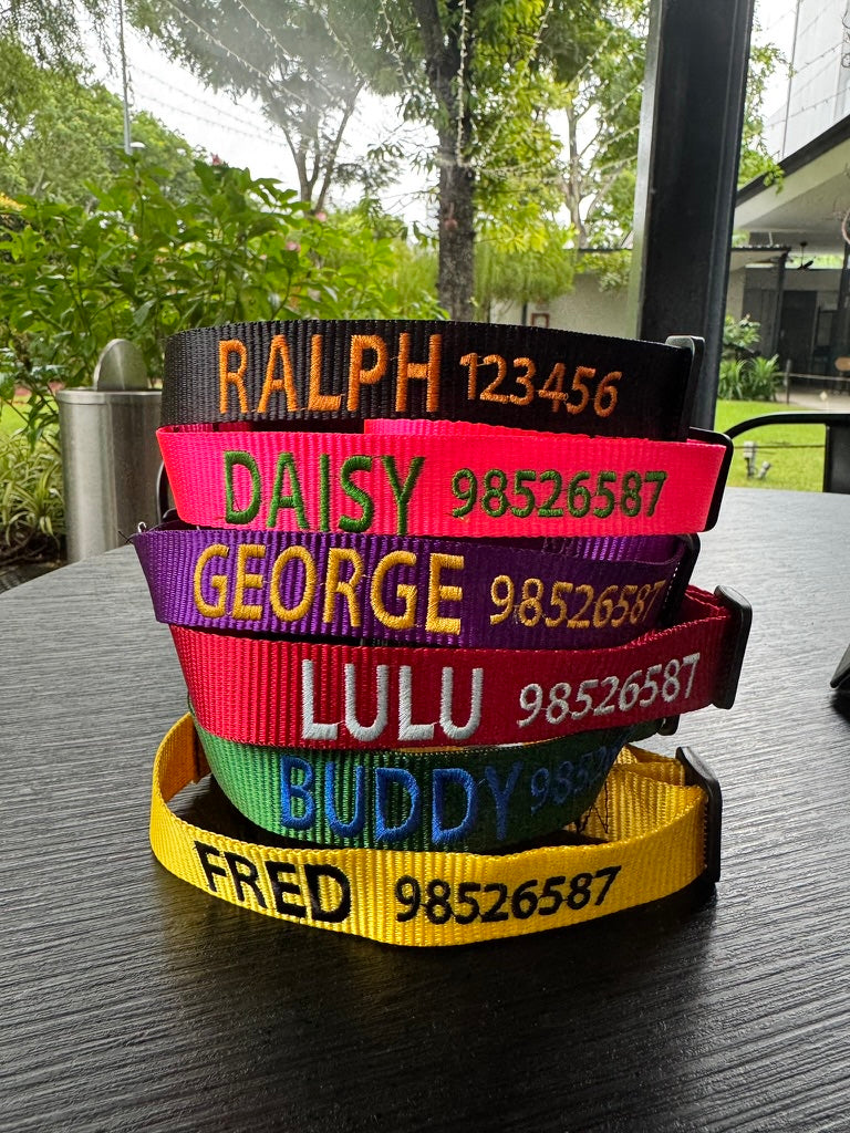 CUSTOM Embroidered Collars - Classic