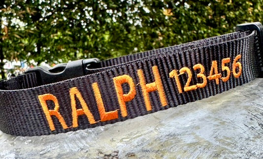 CUSTOM Embroidered Collars - Classic