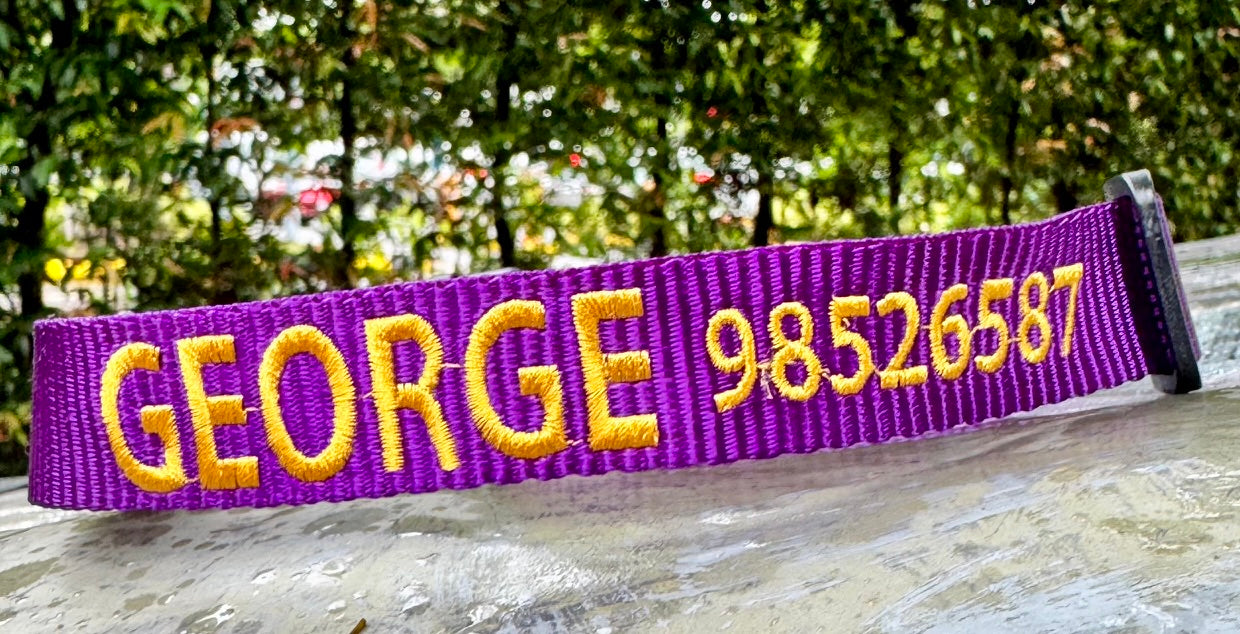 CUSTOM Embroidered Collars - Classic