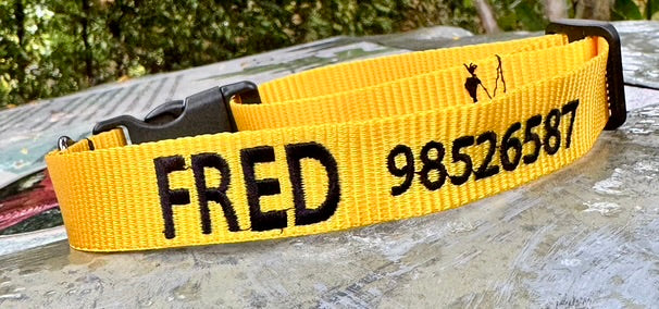 CUSTOM Embroidered Collars - Classic