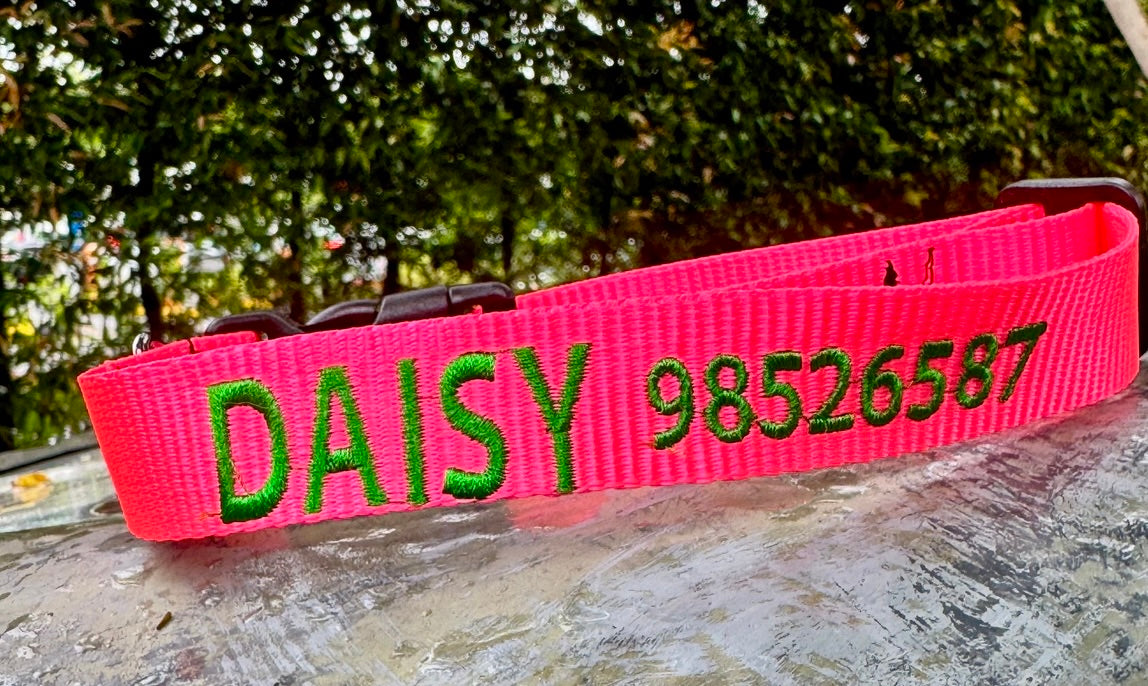 CUSTOM Embroidered Collars - Classic