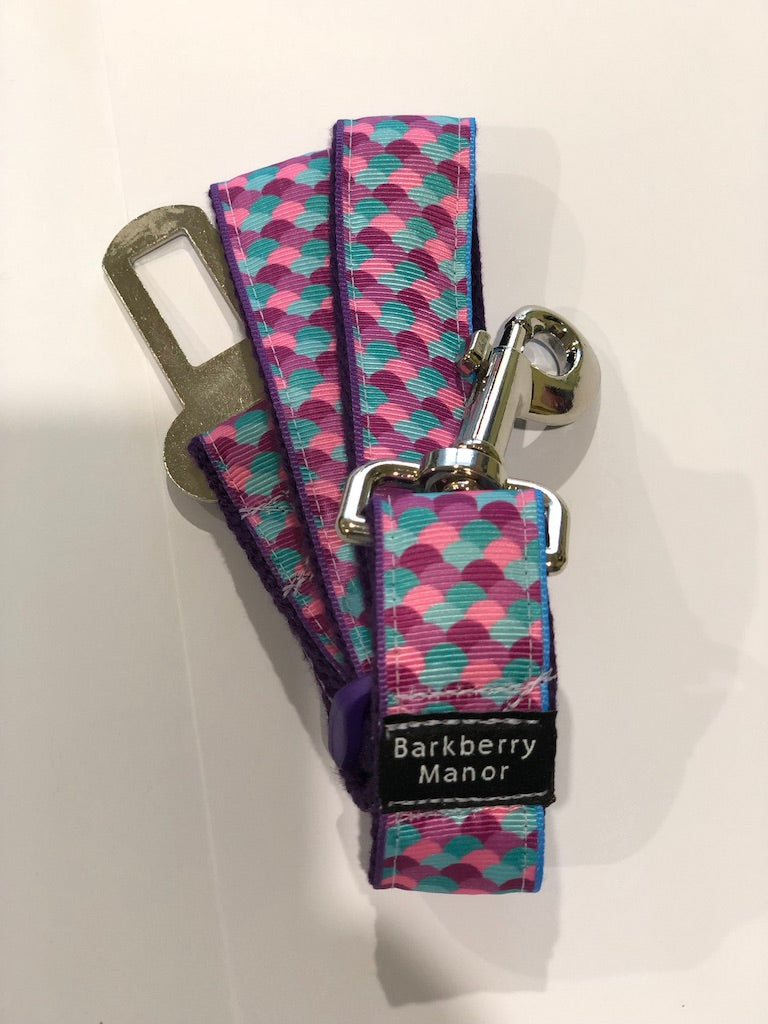 Car Restraints