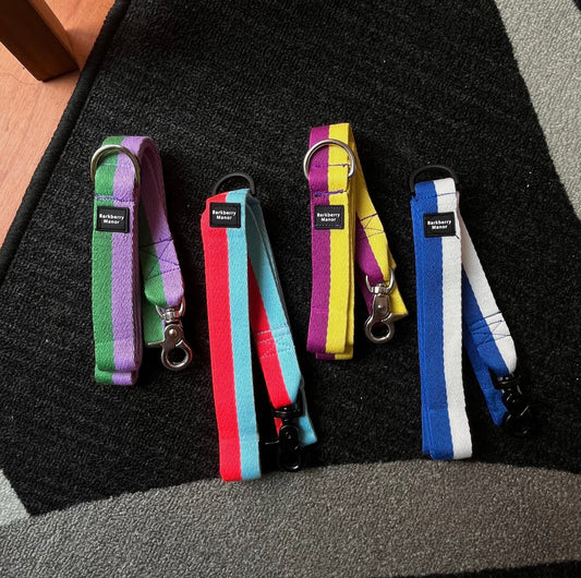 25mm Dog Leads