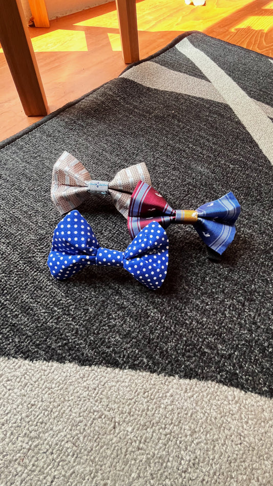 Silk Bow Ties