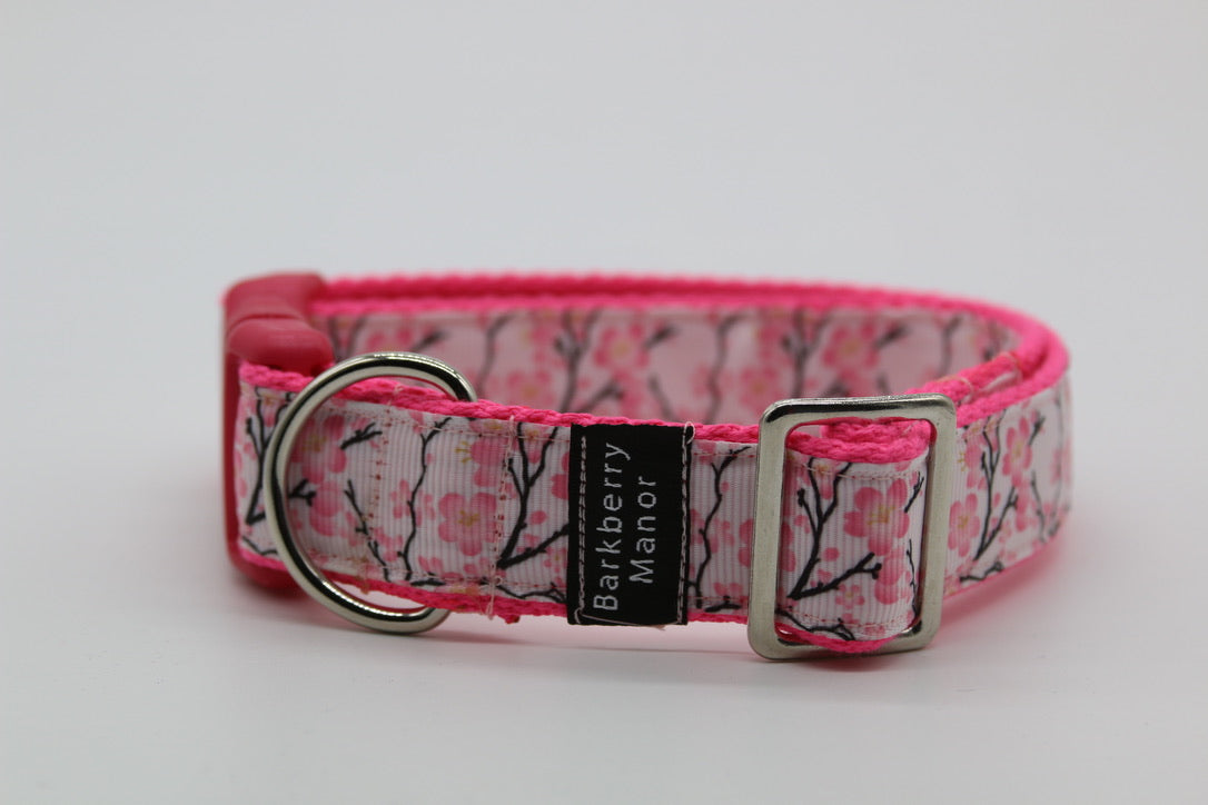 25mm Collars