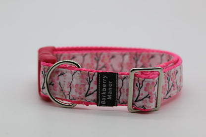 25mm Collars