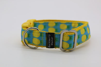 25mm Collars