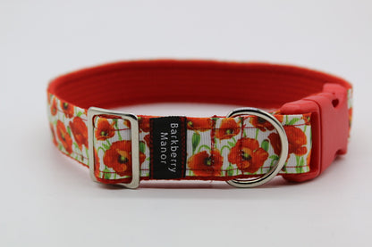 25mm Collars